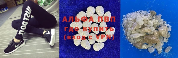 шишки Приозерск