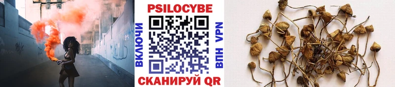 Псилоцибиновые грибы мухоморы  магазин  наркотиков  Москва 
